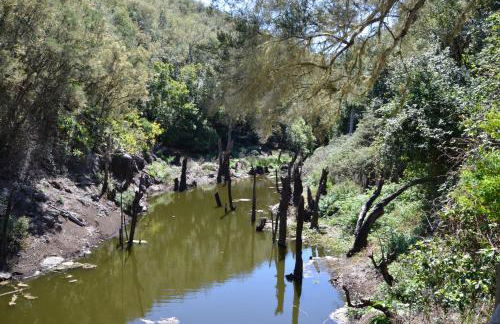 Casa Jonay - Foto 46