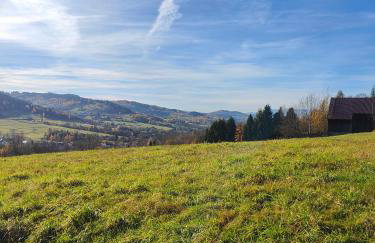 Sielanka, wyjątkowy dom, jacuzzi - Foto 59