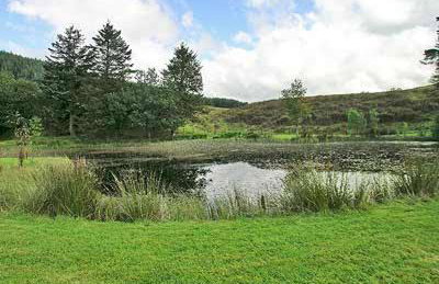 Marwhin House - Swwr - Foto 10