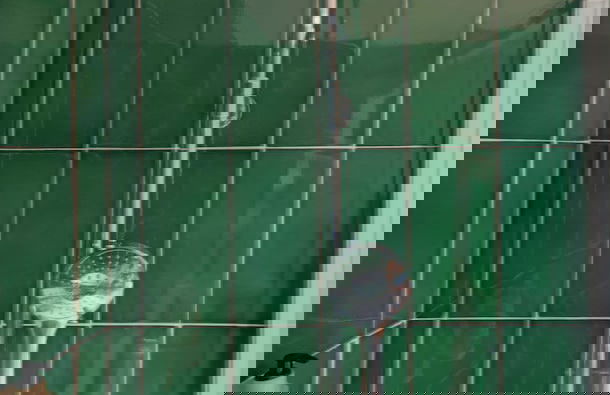 Aparthotel Terra Aurea - Foto 31