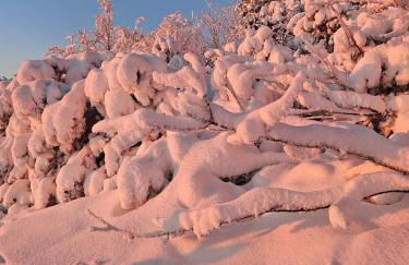 Vignes & Tropiques - Terrasse - Wifi - Clim - Parking - Photo 45