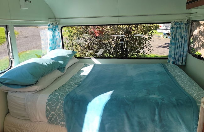 Dickson Holiday Park - Foto 36