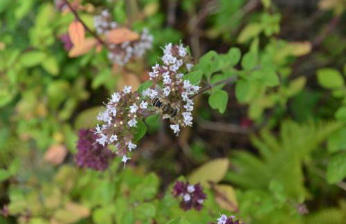 1 Woodlands - Photo 43