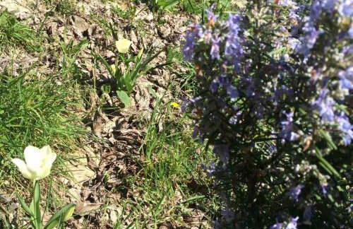 Villa Bella - Two Bedroom House - Foto 80