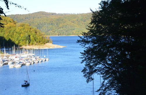 Domki Pod Lasem - Photo 35