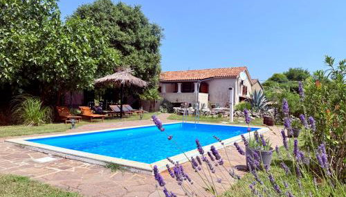 Guest House Risika - Foto 3