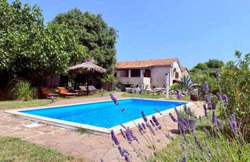 Guest House Risika - Foto 3