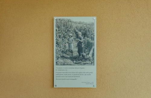 Casa Gavarino - Foto 23