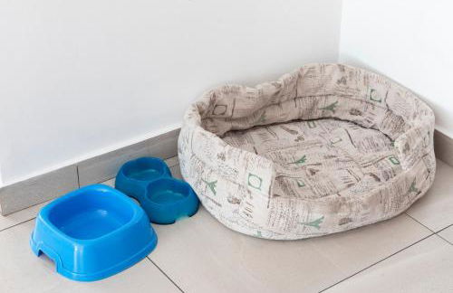 DORA Rooms and terrace, Parco Dora - Foto 12