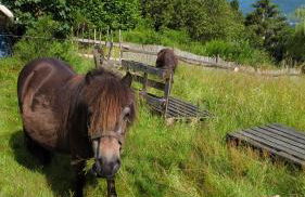 Gîte Au bout des Mynes avec vue panoramique - Foto 12