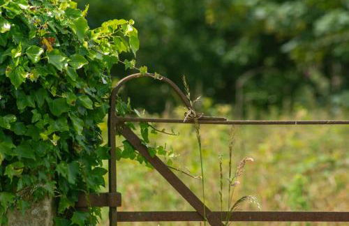 Tan y Bryn - Foto 31