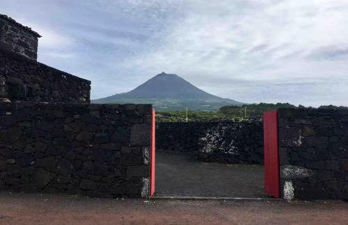 Casa 3 Picos 1 - Photo 30