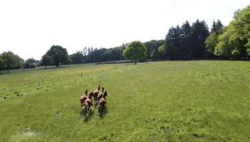 Le Cottage de la Doucette - Foto 4