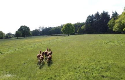 Le Cottage de la Doucette - Foto 4
