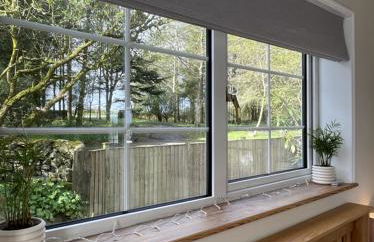 Wrens nest - Foto 20