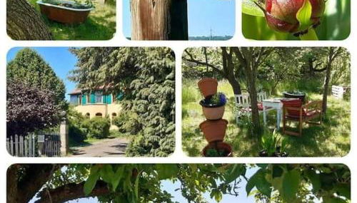 AuszeitOase am sächs. Jakobsweg - Foto 5, Garden view