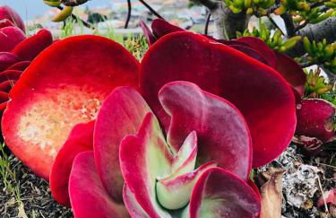 El Quinto Pino - El Estudio - Foto 20