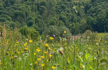 Holiday Home Medimurski Ceker - Foto 55