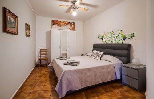 The Lemon Tree - Foto 70