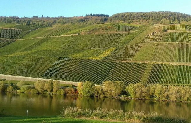 Appealing Apartment in Losnich - Photo 13