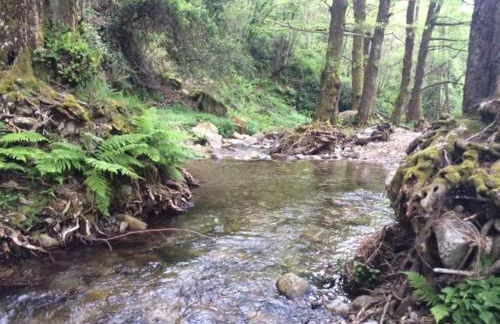 CALABRIA COLLINA DI SCILLA CASALE OSTELLO1800 SELF SERVICE GIARDINO STANZE E APPARTAMENTI PER FAMIGLIE COPPIE E SINGLE Melia Pzza S Gaetano 16 - Foto 49