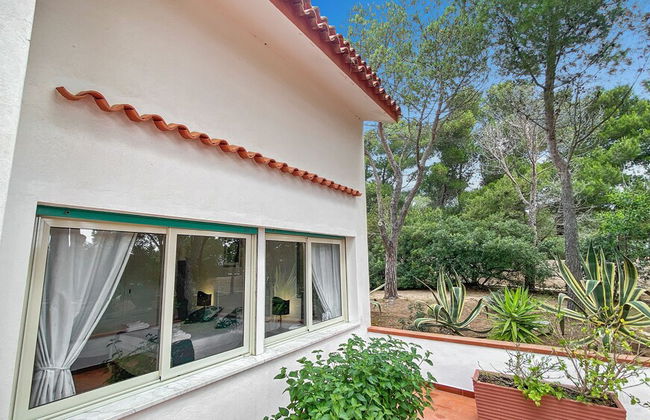 Villa Susy al mare - Photo 51