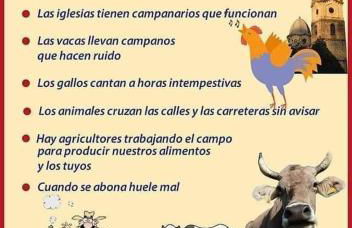 Somonte Costa - Foto 49