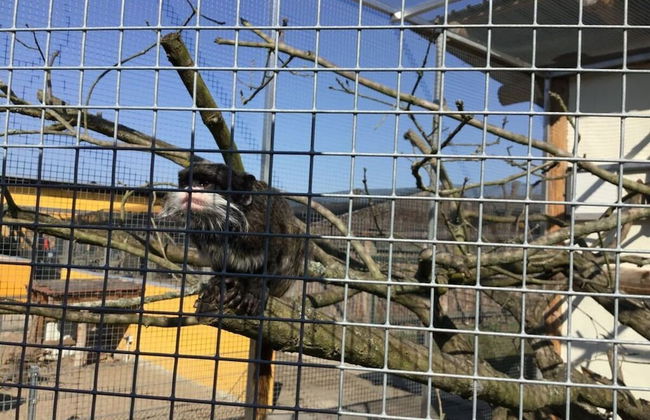 Holiday Home Lalelu Comfortable Vacation Home - Foto 9