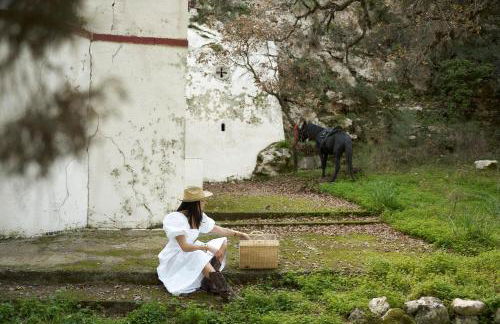 Eliathos Hillside Retreat - Foto 11