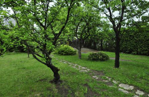 Szyszka i Róża Domek na Jurze - Foto 16