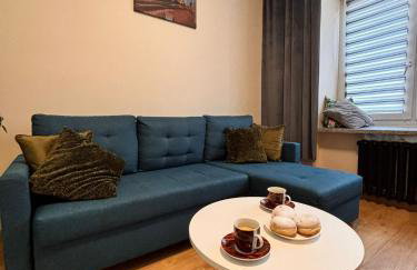 Apart Brzeg - Photo 34