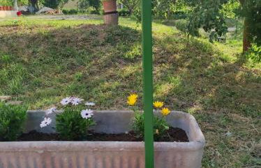 Apartman Tramonto - Foto 14