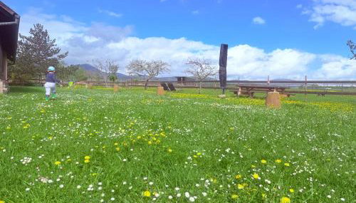L'Etoile du Vignoble Meublé de Tourisme 4 étoiles au cœur d'un ranch alsacien sur la route des Vins - Climatisé - Foto 3