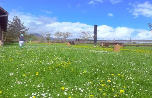 L'Etoile du Vignoble Meublé de Tourisme 4 étoiles au cœur d'un ranch alsacien sur la route des Vins - Climatisé - Foto 3