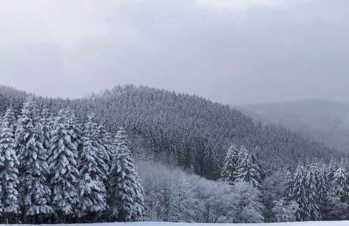 Fennies Hütte - Foto 58
