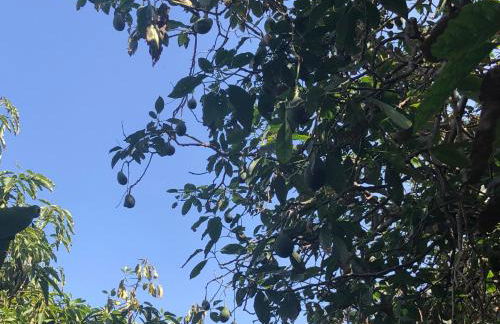 Casa Camino Tamadaba - Foto 56