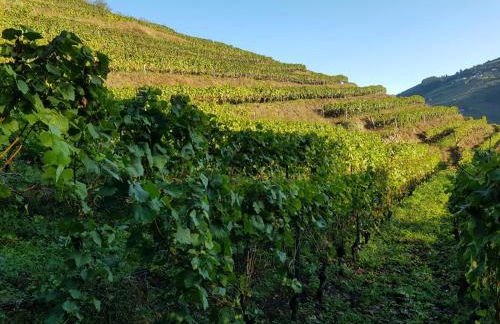 La Cabana´l Cachican - Foto 44