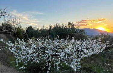 El Mirador de Benialfaqui, apartamento Els Olivers - Foto 52