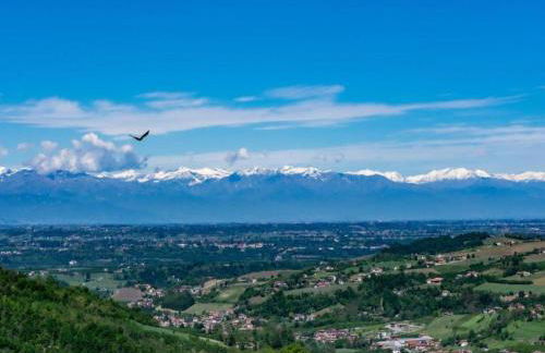 Hillview Langhe Apartment - Foto 60