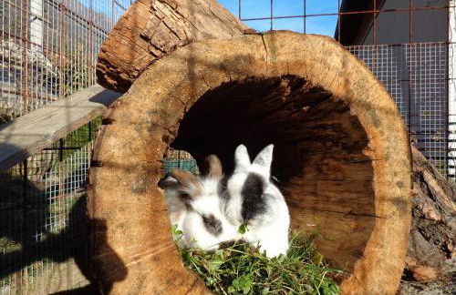 Haus Talblick "Neuräutl" Ferienwohnung 2 - Foto 29