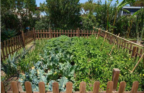 Casara Tres - 2 Dormitorios - Jardín y acceso Privado a la Playa - Foto 36