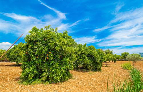 Can Pascolet - Foto 61