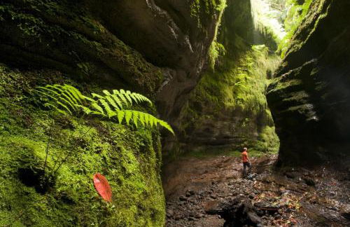 Apartamento El Correo - Photo 21