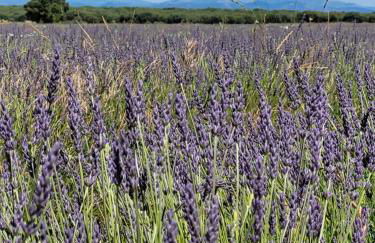 La Morada del Arcipreste - Foto 43