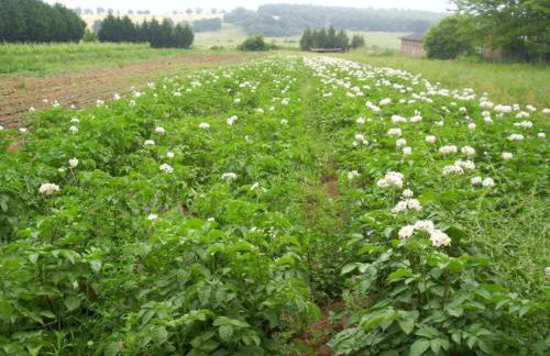 Orte Villa for 8 With Parking - Foto 56