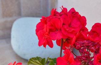 nikola's house - Foto 44