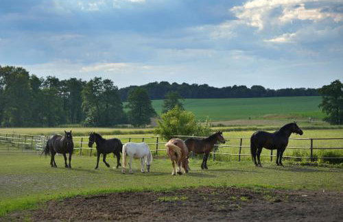 Agroturystyka Marianówek - Foto 18