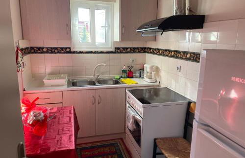 Eftychia’s home-Σπίτι με θέα τη λίμνη Πλαστήρα - Photo 6