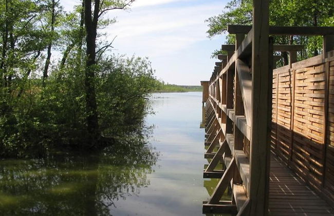 Feriendorf am Weinberg, Dobbrikow - Foto 69