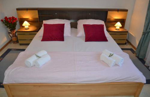 Apartments DARIJA & PERO - Foto 16